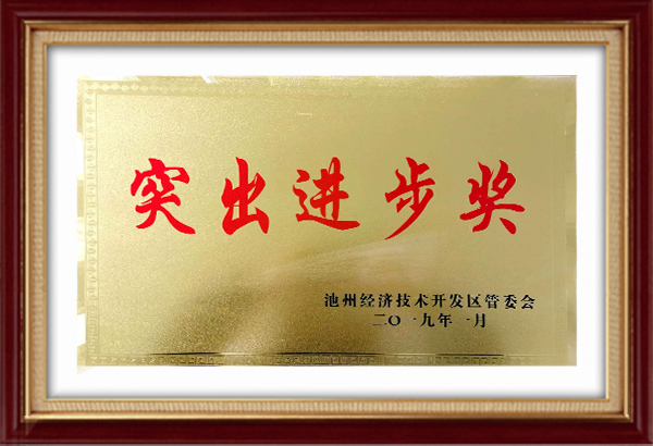 Outstanding progress award